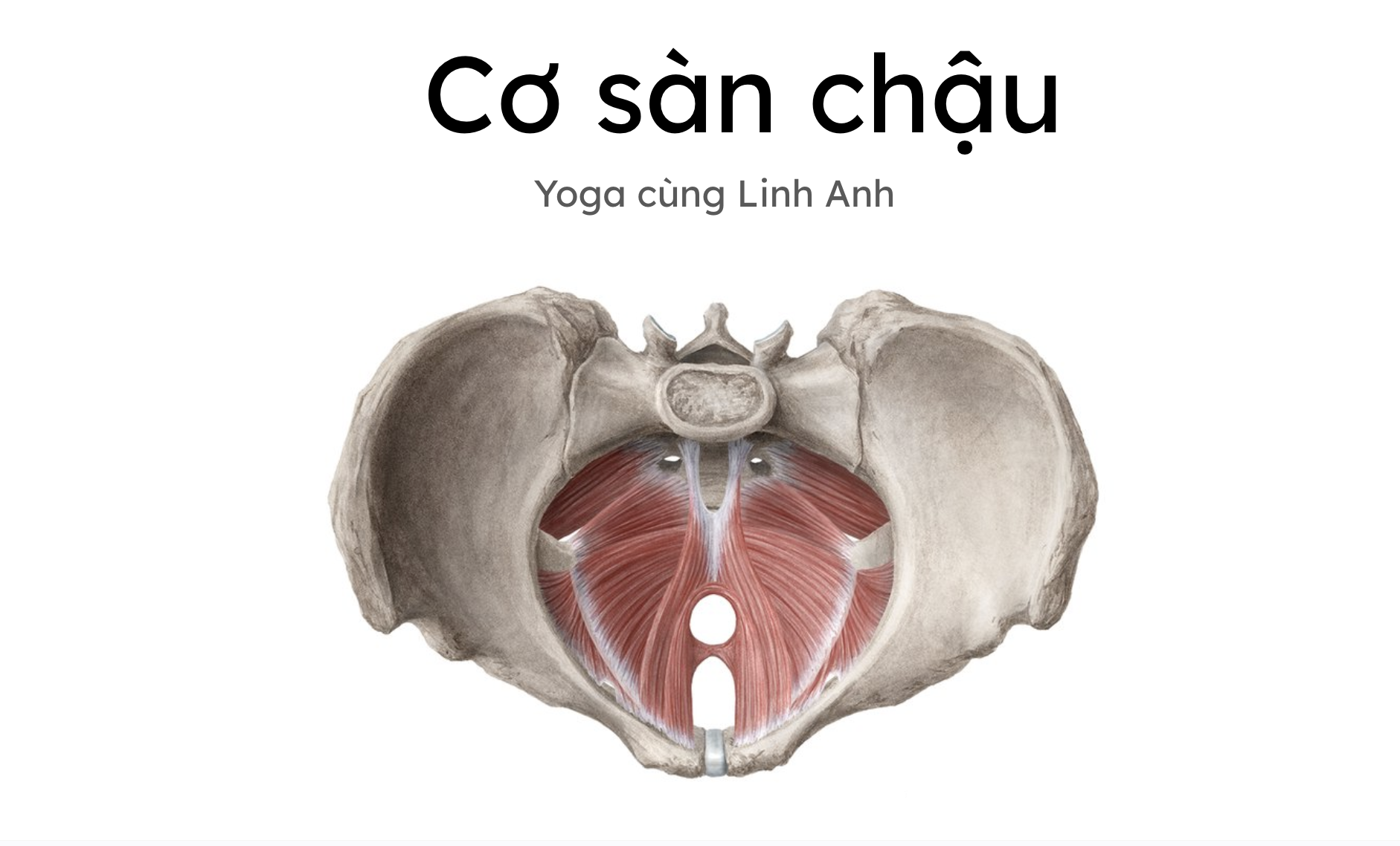 Module 3: Làm Chủ Nhóm Cơ Vàng cho ngày vượt cạn
